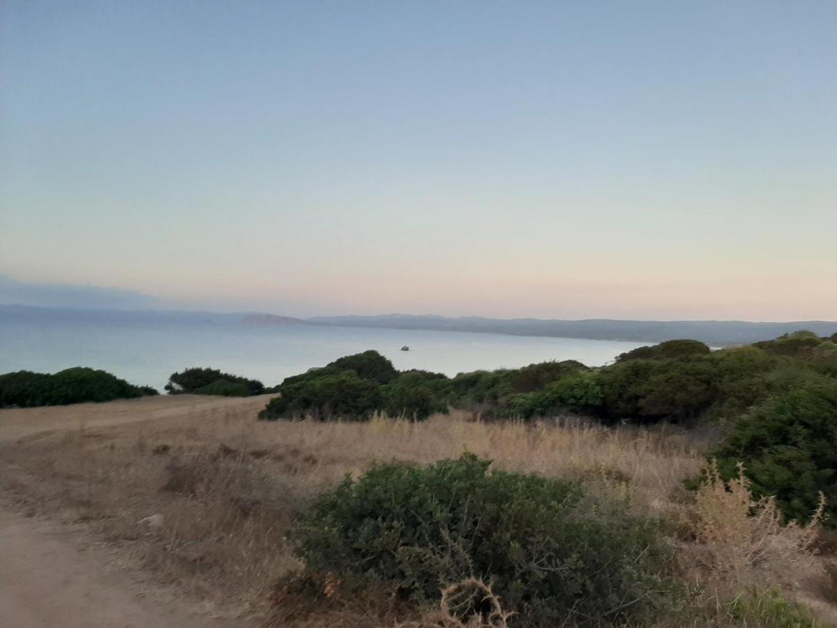 Appartamento Residence Mirice Vignola Mare Aglientu Casa Giorgia Екстериор снимка